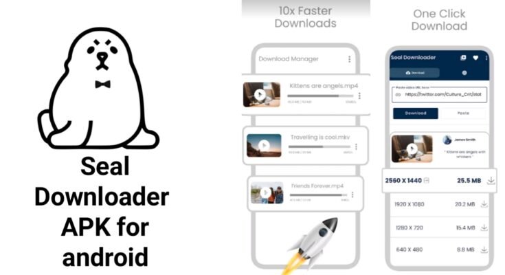 How To Use Seal Downloader APK